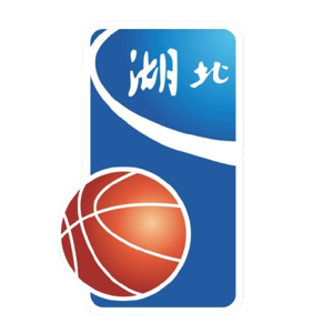 湖北全运女篮